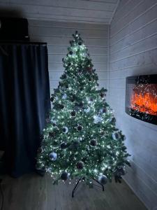 Дом для отпуска у Березы - 89