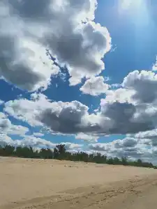 Дары Дона - 31