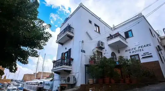 White Pearl - 1