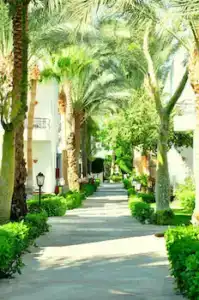 Jaz Fanara Residence - 27