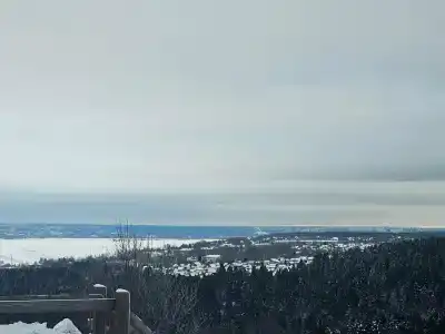 Снегири - 23
