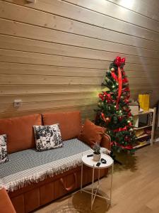 Хвойный Лес - 100