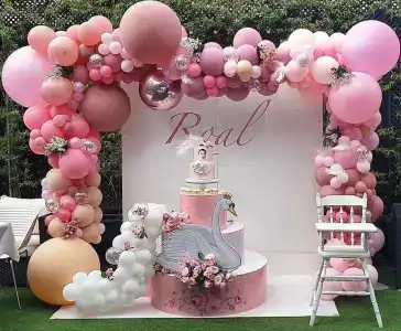 Twins - 6