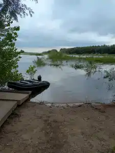 Жемчужина - 51