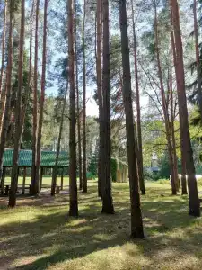 ГаммаСофт - 14