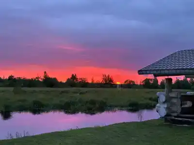 Челмужская усадьба - 63