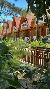 Морская дача Арабеска - 41