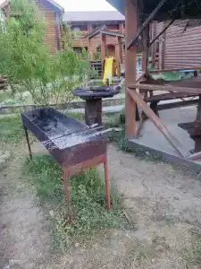 Гвоздика - 11