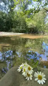 Шелест - 34