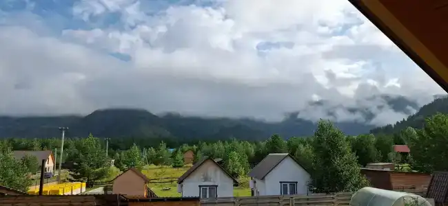 Крассула - 5