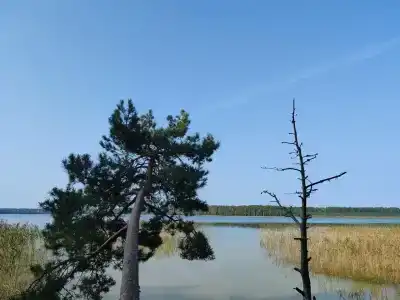 Белое озеро - 14