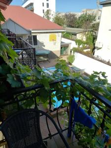 Дельфиния - 39