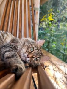 Заповедник - 22