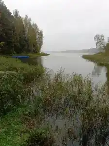 Лопотово - 68