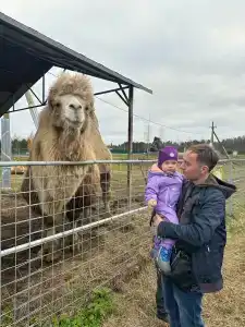 Черные камни - 31