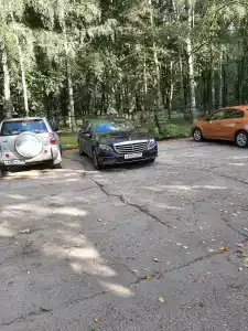 Березки - 68