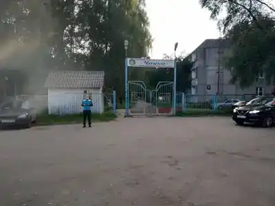 Чайка - 26