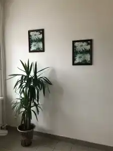 на Валге - 40