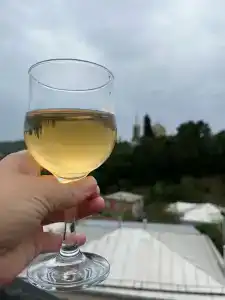 Зеленый цветок - 19