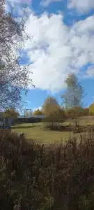 Алексеевское - 41