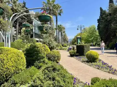 InSochi - 71