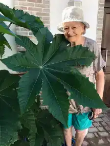 Приморский - 17