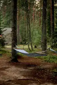 Глэмпинг Shanti Home - 11