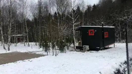 Икс-Лес - 32