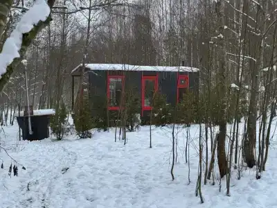 Икс-Лес - 28
