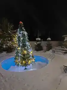 Дача на лесной - 30
