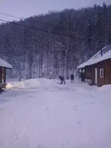 Под мухой - 11
