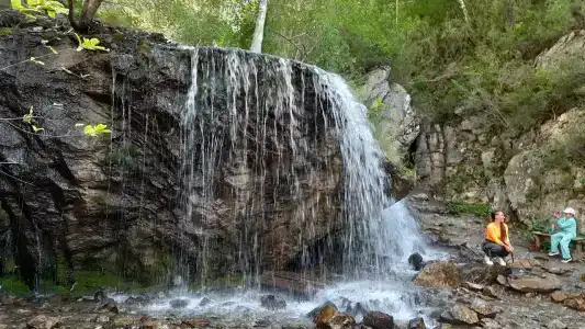Чечкыш - 95