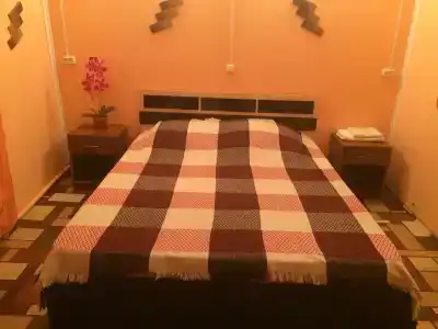 Фламинго - 49