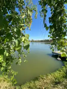 Мизиновские пруды - 5