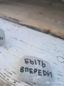 Манго - 35