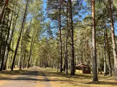 Тверской-Ямской - 16