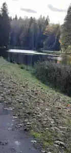 Кристалл - 69