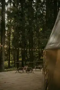 Villy Uley Karelia (Вили Улей Карелия) - 69