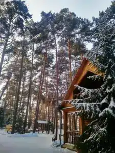 Прииртышье - 4
