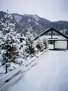 Altay dream house - 30
