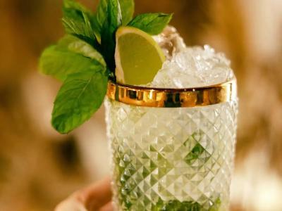 Wren Urban Nest - 17