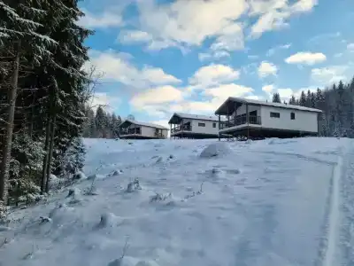 На паузе - 59