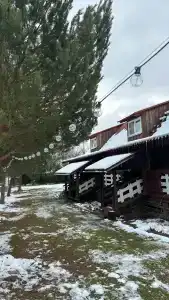 Медвежье урочище - 80