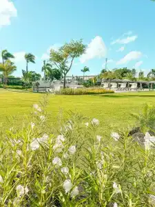 Ac By Marriott Punta Cana - 32