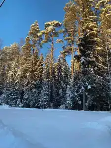 Дальний Кордон - 4