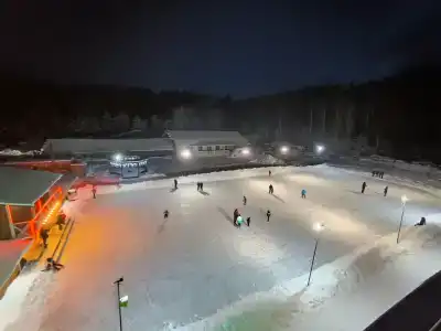 Сосновый - 44