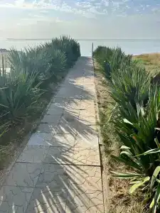 Лунный Бриз - 19