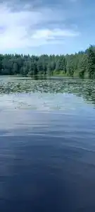 Неясыть - 35