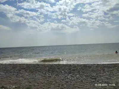Багира - 66