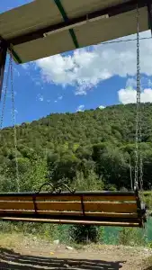Платан - 48
